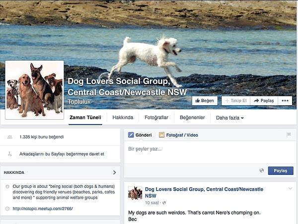 11. Belki de Facebook’ta köpekli ne kadar grup varsa üyesisiniz.