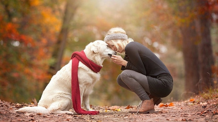 Köpekleri Deli Gibi Sevmesine Rağmen Köpek Sahibi Olmayanlara Dair 18 Şey