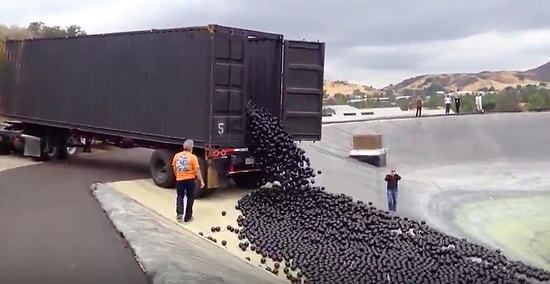 Suyun Buharlaşmaması İçin 96 Milyon Plastik Topu Baraja Bırakmak