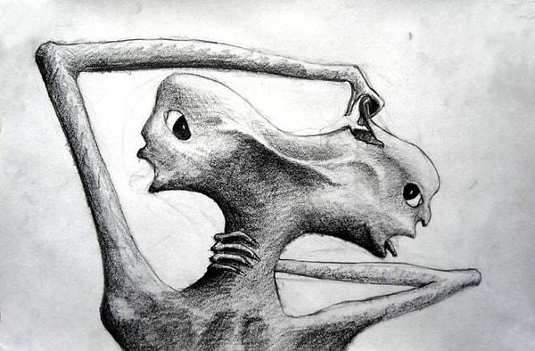 15. Paranoid şizofreni hastasının bir çizimi