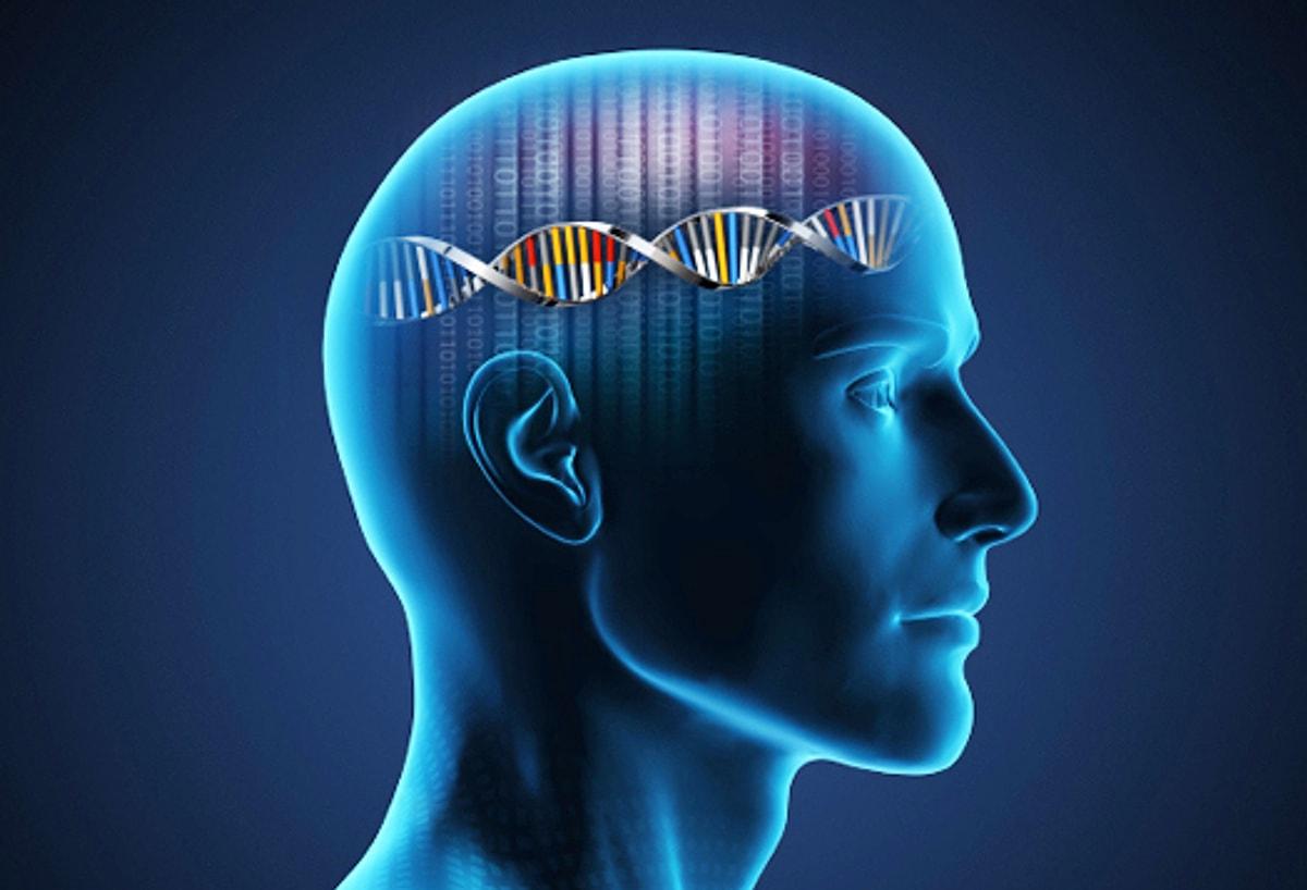 Интеллект генетика. Память человека. Мозг ДНК. Когнитивная генетика. Генетика мозг.