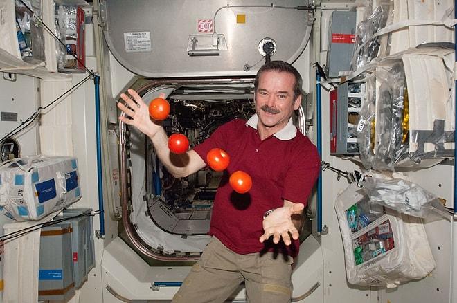 Sevimli Astronot Chris Hadfield'den Uzayda Yaşam Dersleri