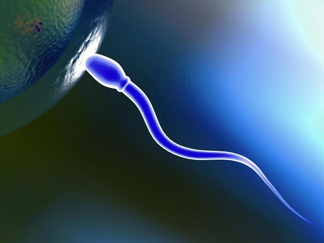 Laboratuvarda İlk Defa Sperm Yaratıldı