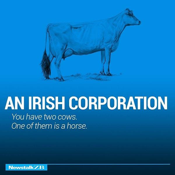 10. Bir İrlanda şirketi