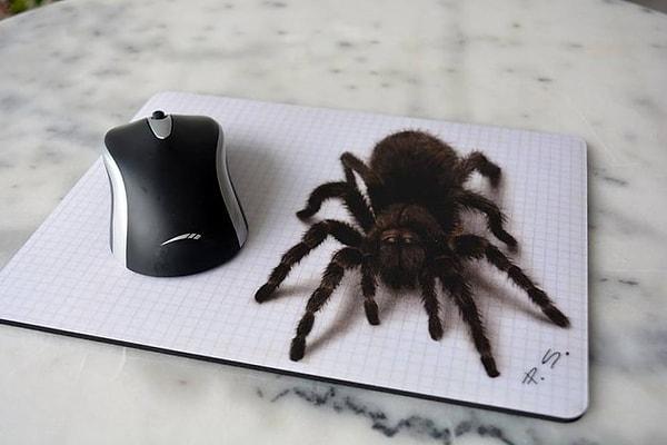 Evet bu örümcek gerçek değil!