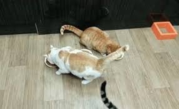 7. Осознание того, что ставить себя в самом начале списка приоритетов – это не эгоизм.