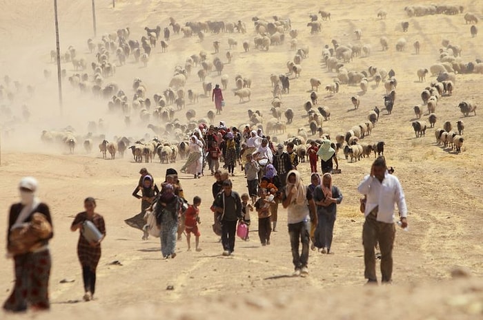 Terör Saldırıları 40 Bin Yezidi'yi Yerinden Etti