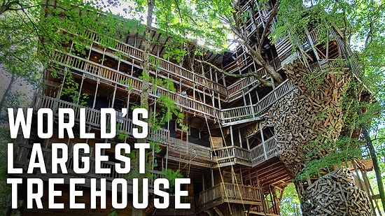 30 Metre Uzunluğunda Dünyanın En Büyük Ağaç Evi