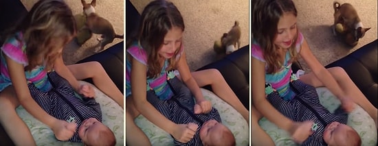 Farkında Olmadan Videoyu Troll'leyen Köpek