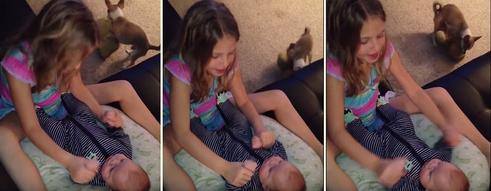 Farkında Olmadan Videoyu Troll'leyen Köpek