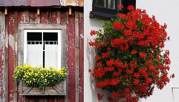 osmanli donemi gunluk yasamindan feyzalinmasi gereken 15 adet