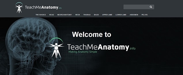 16. TeachMeAnatomy