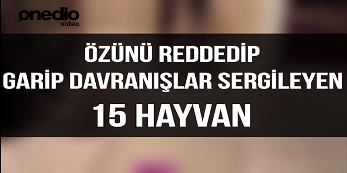 Özünü Reddedip Garip Davranışlar Sergileyen 15 Hayvan