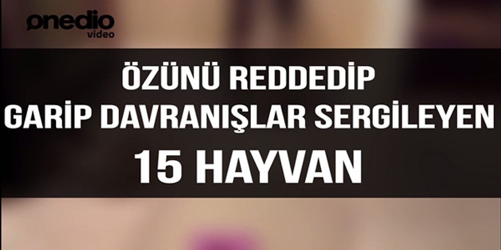 Özünü Reddedip Garip Davranışlar Sergileyen 15 Hayvan