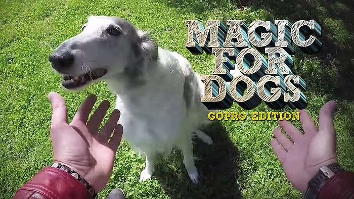 Köpeklere Sihirbazlık Yaparak Akıllarını Alan Adam