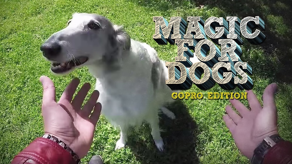 Köpeklere Sihirbazlık Yaparak Akıllarını Alan Adam