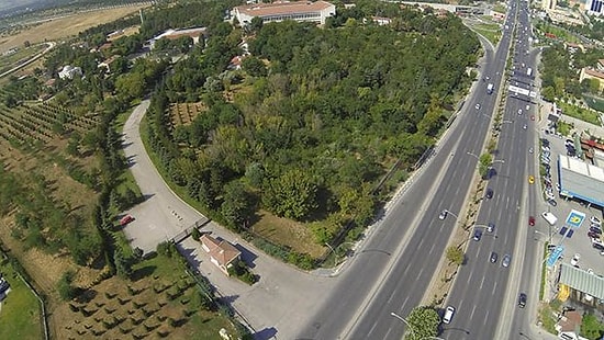 Orman ve Su İşleri Bakanlığı'na Bina Yapılması İçin Yüzlerce Ağaç Kesilecek