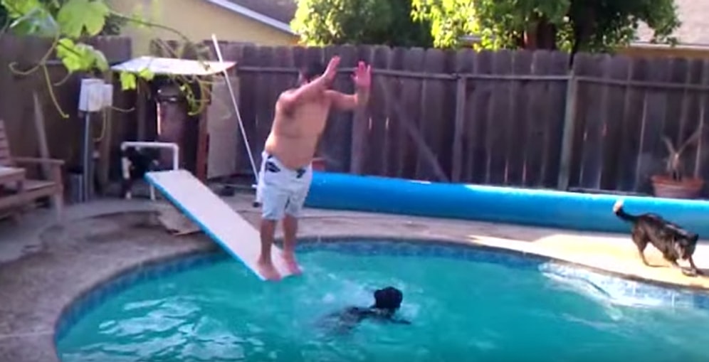 Atlama Tahtasını Asla Kullanmaması Gereken İnsanlar