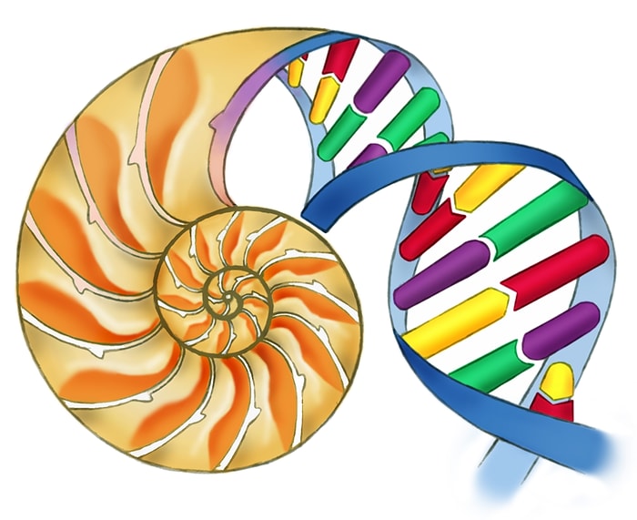 Biyoloji ve Genetik Bölümünde Okuyanların Karşılaştıkları 10 Soru