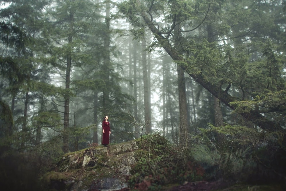 Elizabeth Gadd'in Nefes Kesen 14 Doğa Fotoğrafı