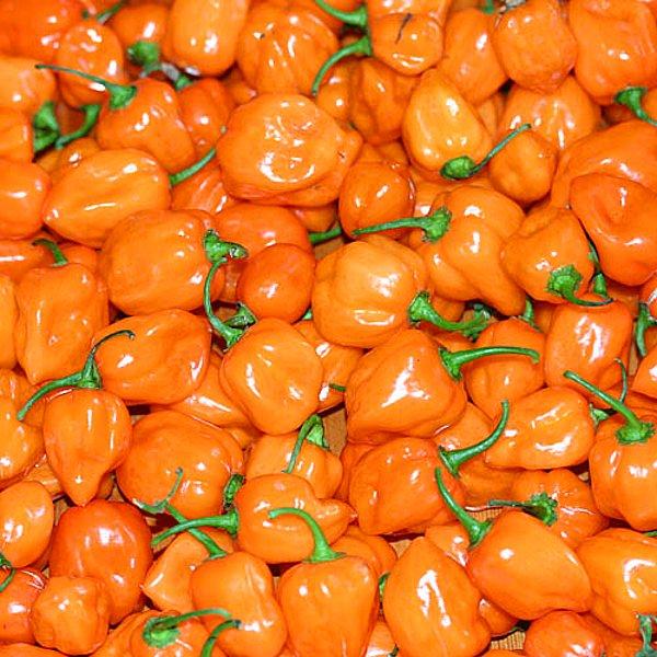 12. Orange Habanero: 250,000 SHU