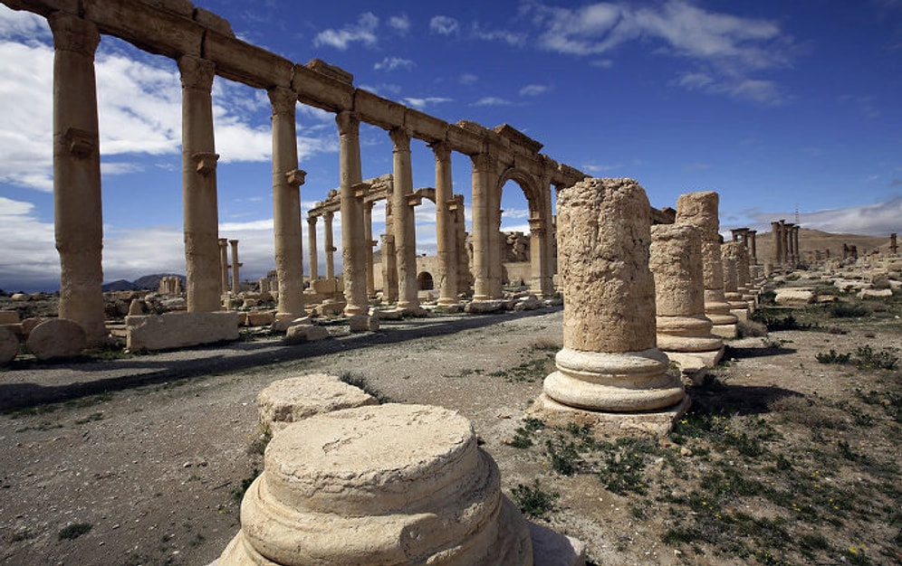 'Palmira 6 Ay İçinde Yok Olacak'