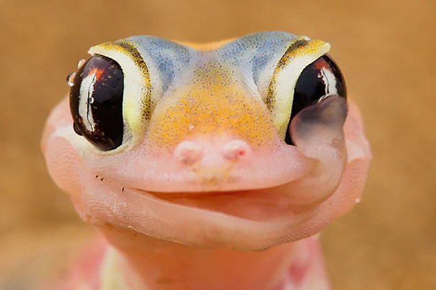 7.