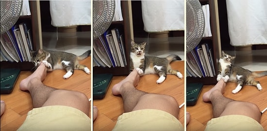 Sahibinin Ayağıyla Oynarken Kendinden Geçen Kedi