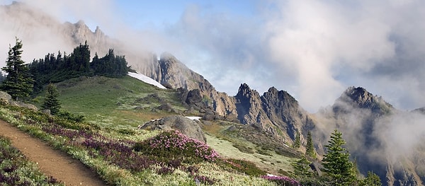 Olimpik Milli Parkı, Washington