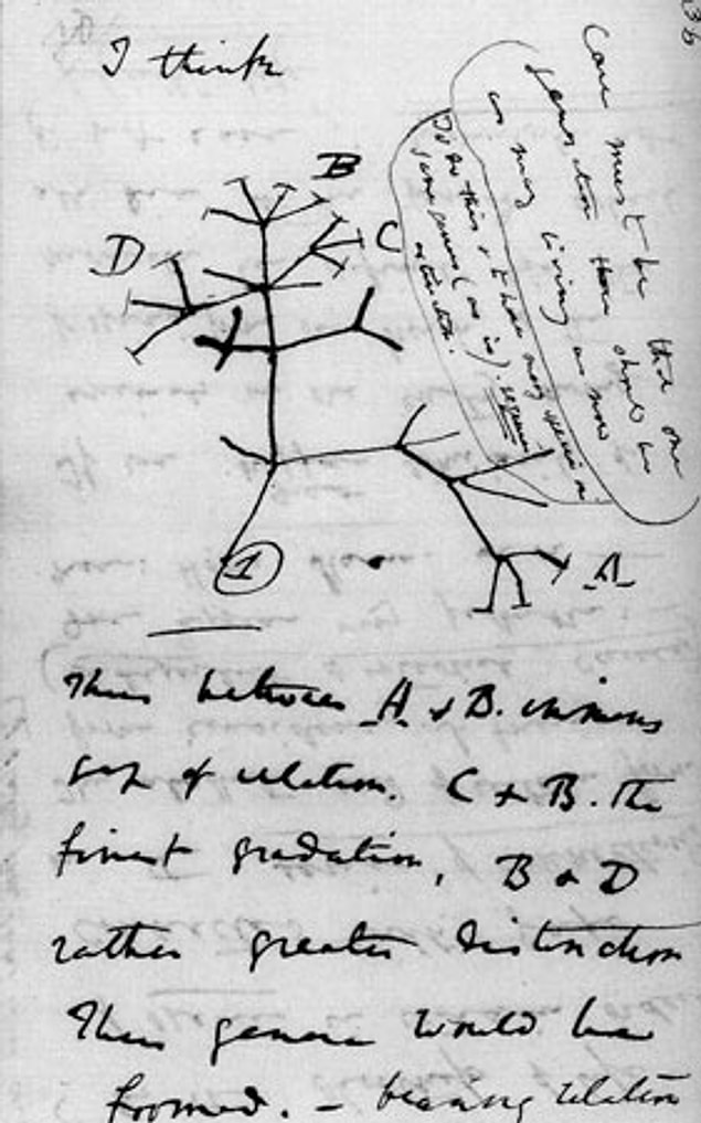 Charles Darwin