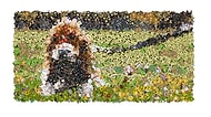 Fotoğraflarınızı Emojilerle Mozaiklemek İçin Yeni Bir Araç: 11 Örnekle Emoji Mosaic
