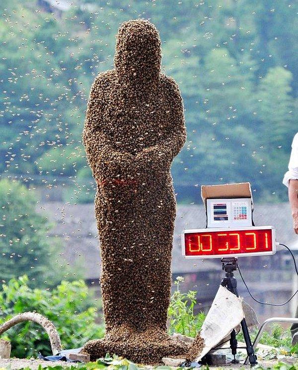 'Arı Duruşu' olarak da anılan yarışma her yıl Çin'de düzenleniyor, üstünde en fazla arı konumlanan ve en ağır 'giysiyi' taşıyan yarışmayı kazanıyor. Dünya Rekoru: 39.5 kiloyla 350.000 arı.