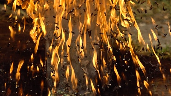 Yavaş Çekim 6000 Kibritin Yanması | 2,500 FPS