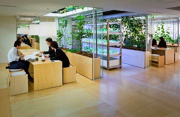 2. Japonya'da bir insan kaynakları şirketi ise yepyeni bir projeye imza atıp ofislerini yenilemeye karar vermiş.