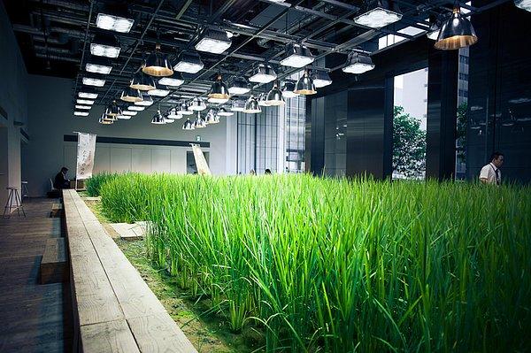 3. Ofis ve binanın için binlerce metrekarelik yeşil alanla kaplanmış. Hepsi de birbirinden farklı bitkiler :)