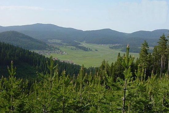 Bolu'da 51 Bin Hektarlık Yeşil Alan Turizm İmarına Açıldı