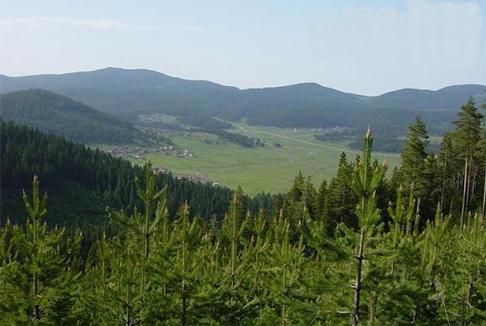 Bolu'da 51 Bin Hektarlık Yeşil Alan Turizm İmarına Açıldı