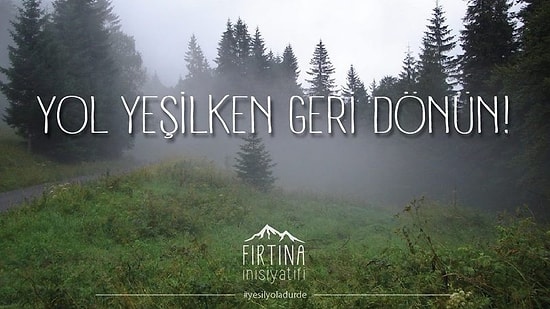 Sanatçıların Çağrısı Var: "Sana Nefes Veren Ağaca İhanet Etme, Yeşil Yol'a Dur De!"
