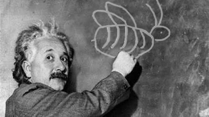 Einstein'in İddiası: Bal Arıları Ölürse, İnsanlar da Ölür! Peki, Gerçekten Öyle mi?