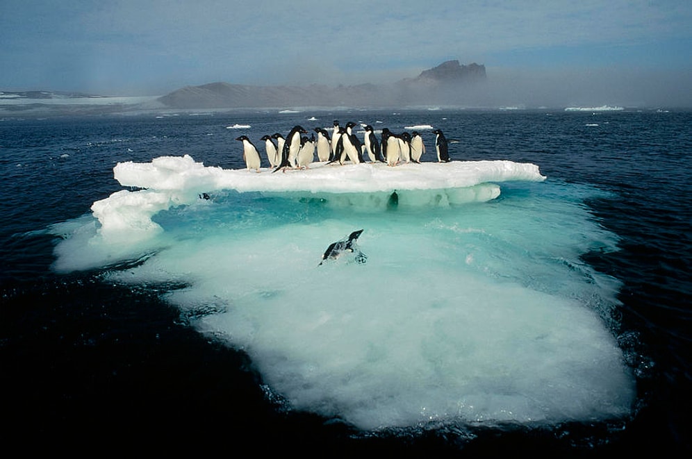 1992'den Bu Yana Sular 8 Santim Yükseldi
