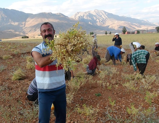 Komünist Belediyeden Selin Vurduğu Hopa'ya 2 TIR Yardım