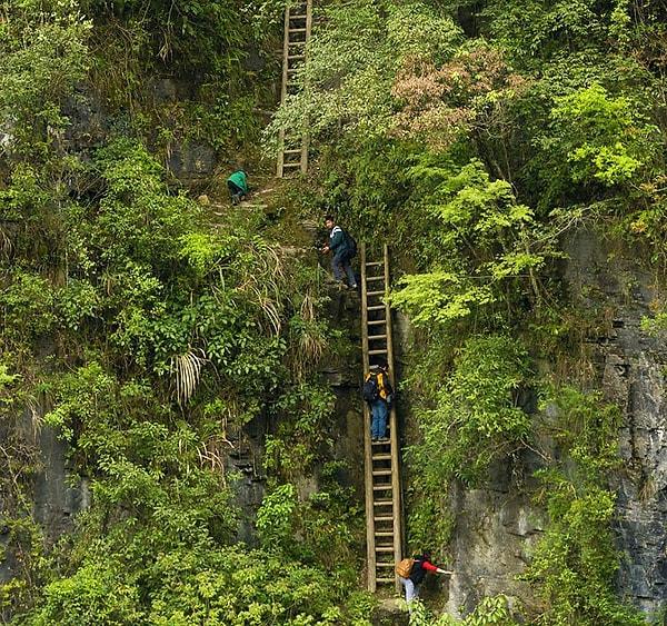 2. Zhang Jiawan - Güney Çin'deki çocuklar ise tahta merdivenlerle dimdik tepelere tırmanarak okullarına varıyorlar.
