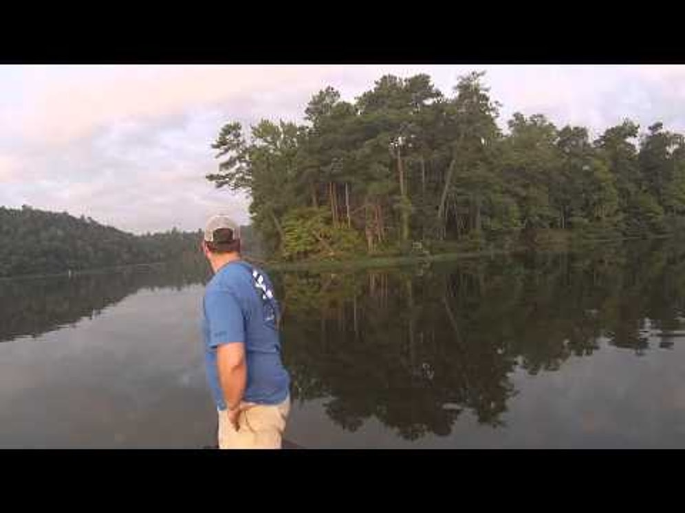 Nehirde Balık Avlayacakken İki Minnoş Kedi Yakalayan Balıkçılar