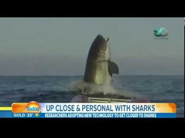 Avustralyalı Muhabirin Beyaz Köpek Balığına Paha Biçilemez Tepkisi