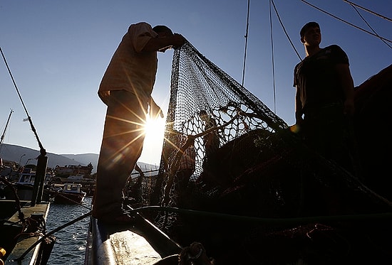 Balık Sezonu Açıldı