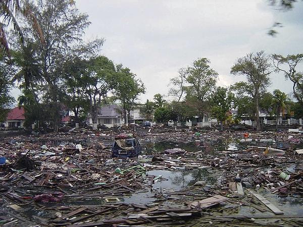 Tsunami sırasındaki olaylar