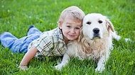 Köpeklerle Çocukların Pek Bilmediğimiz Acayip İlişkisini Gösteren 22 GIF