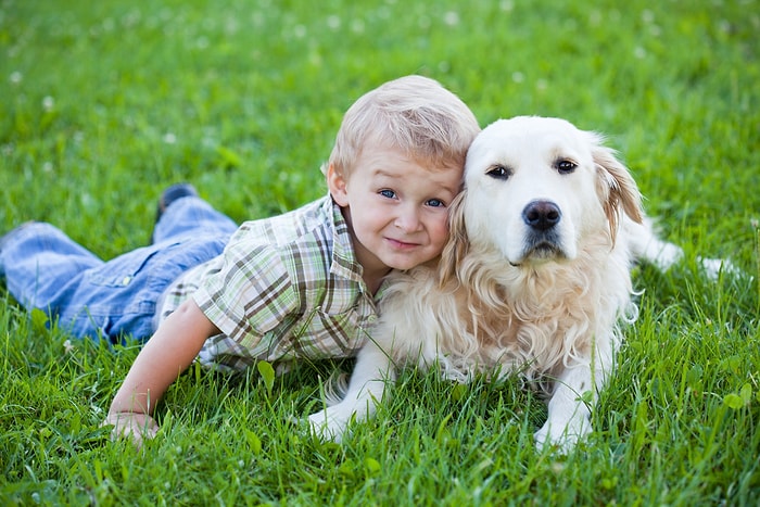 Köpeklerle Çocukların Pek Bilmediğimiz Acayip İlişkisini Gösteren 22 GIF