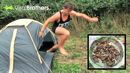 Uyuyan Sevgiliyi Hamam Böcekleriyle Çadıra Kilitlemek | Şaka İçerir