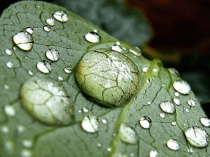 "Umutsuzluk" Fena Halde Çatlağa Benzer